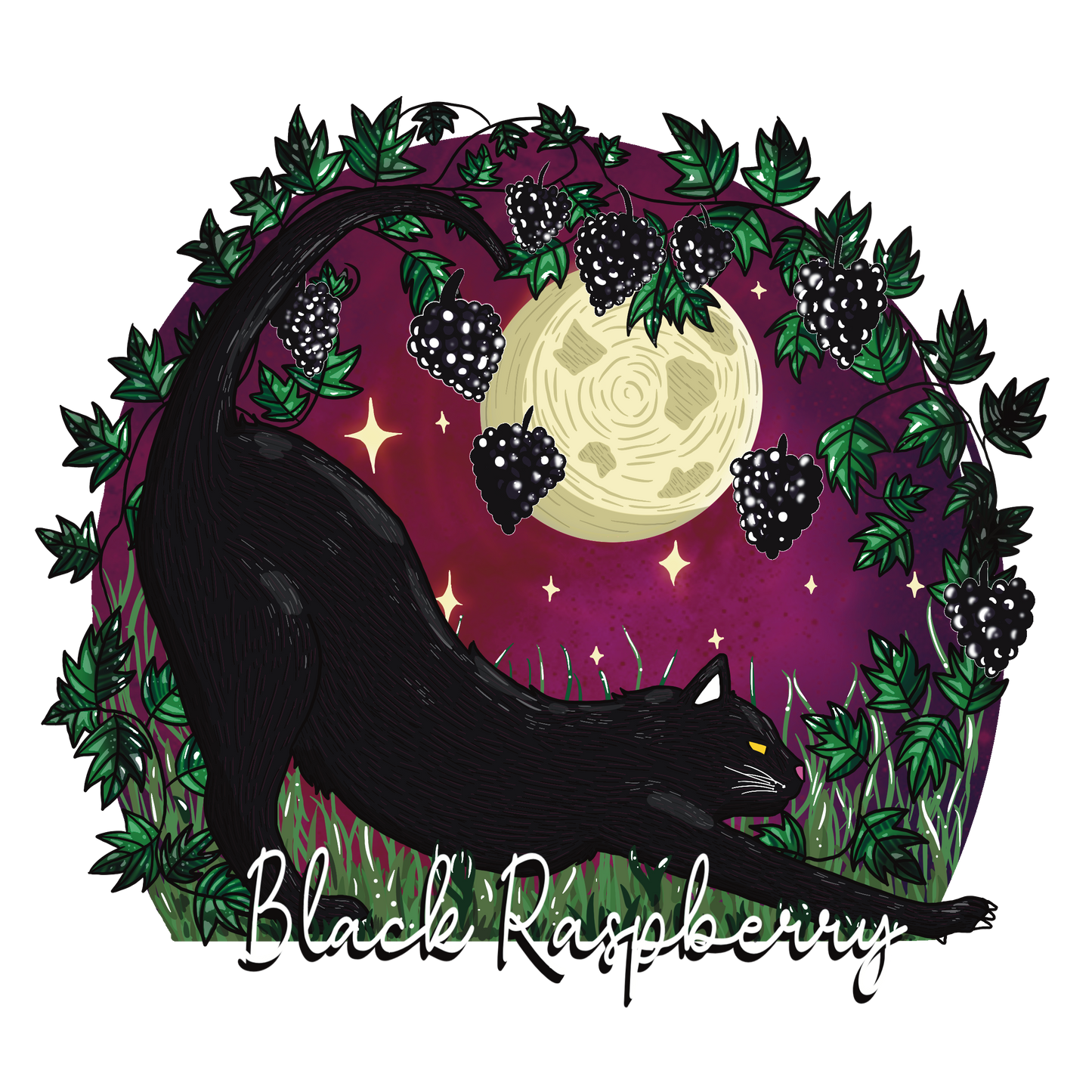 Black Raspberry Melts
