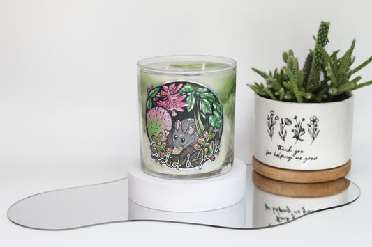 Cactus & Jade Candle